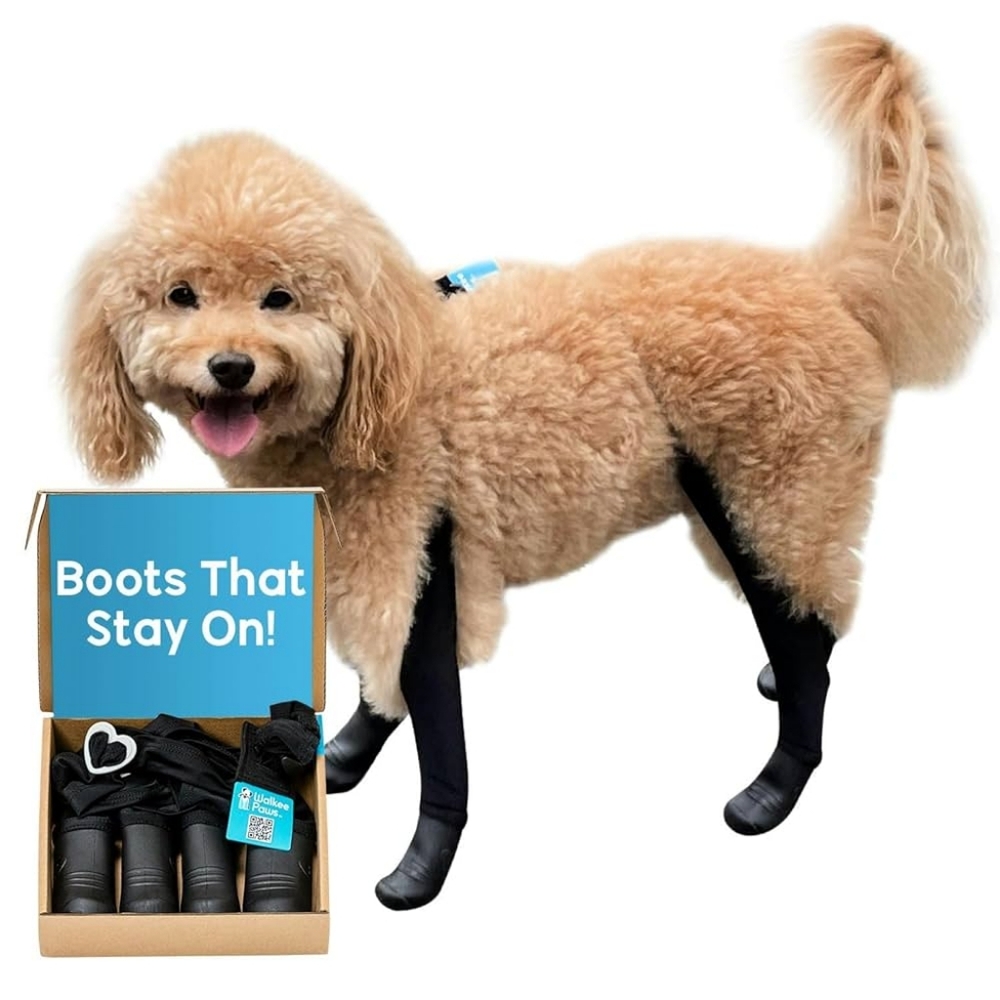 Walkee Paws Small Black Waterproof Suspender Dog Boots that Stay On